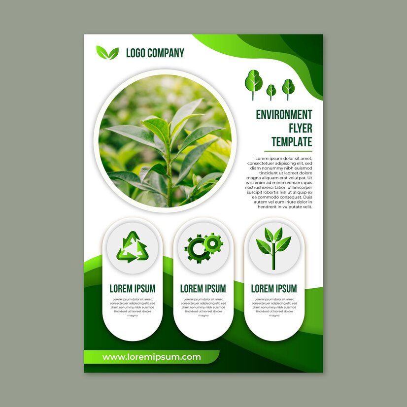 Elevate Your Brand with Our Best Quality Flyer Design Services